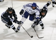 九游体育APP下载-舞台越大，他越耀眼，当森林狼遇上公牛，布克的光芒如何照亮全场？