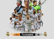 九游娱乐网页-绝杀之刃与不灭之火，波兰铁骑破日本，许昕状态炽燃预示新传奇