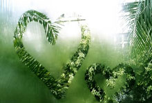 九游app下载-石油美元鏖战，布鲁诺如何成为沙特与美国的关键先生