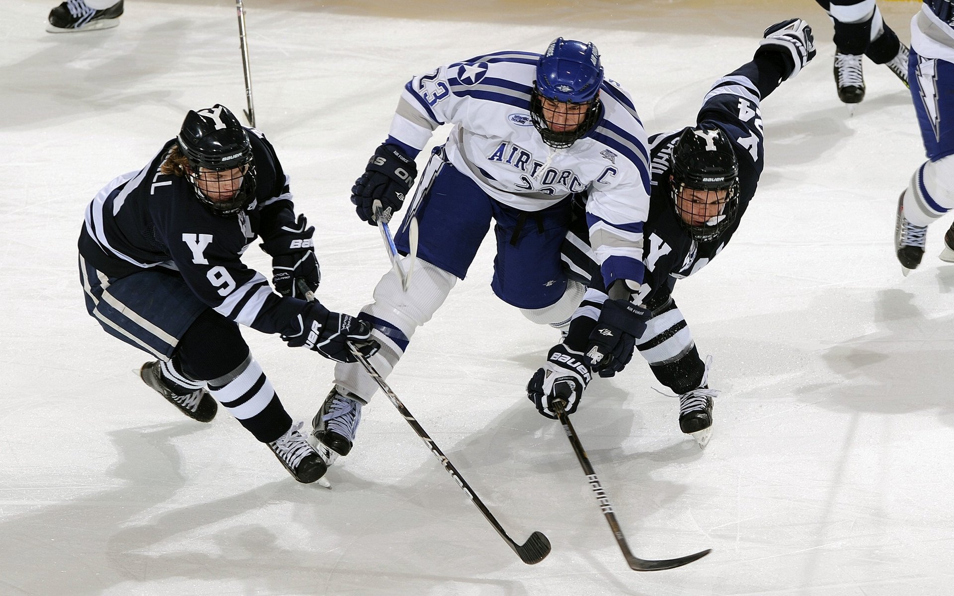 舞台越大，他越耀眼，当森林狼遇上公牛，布克的光芒如何照亮全场？