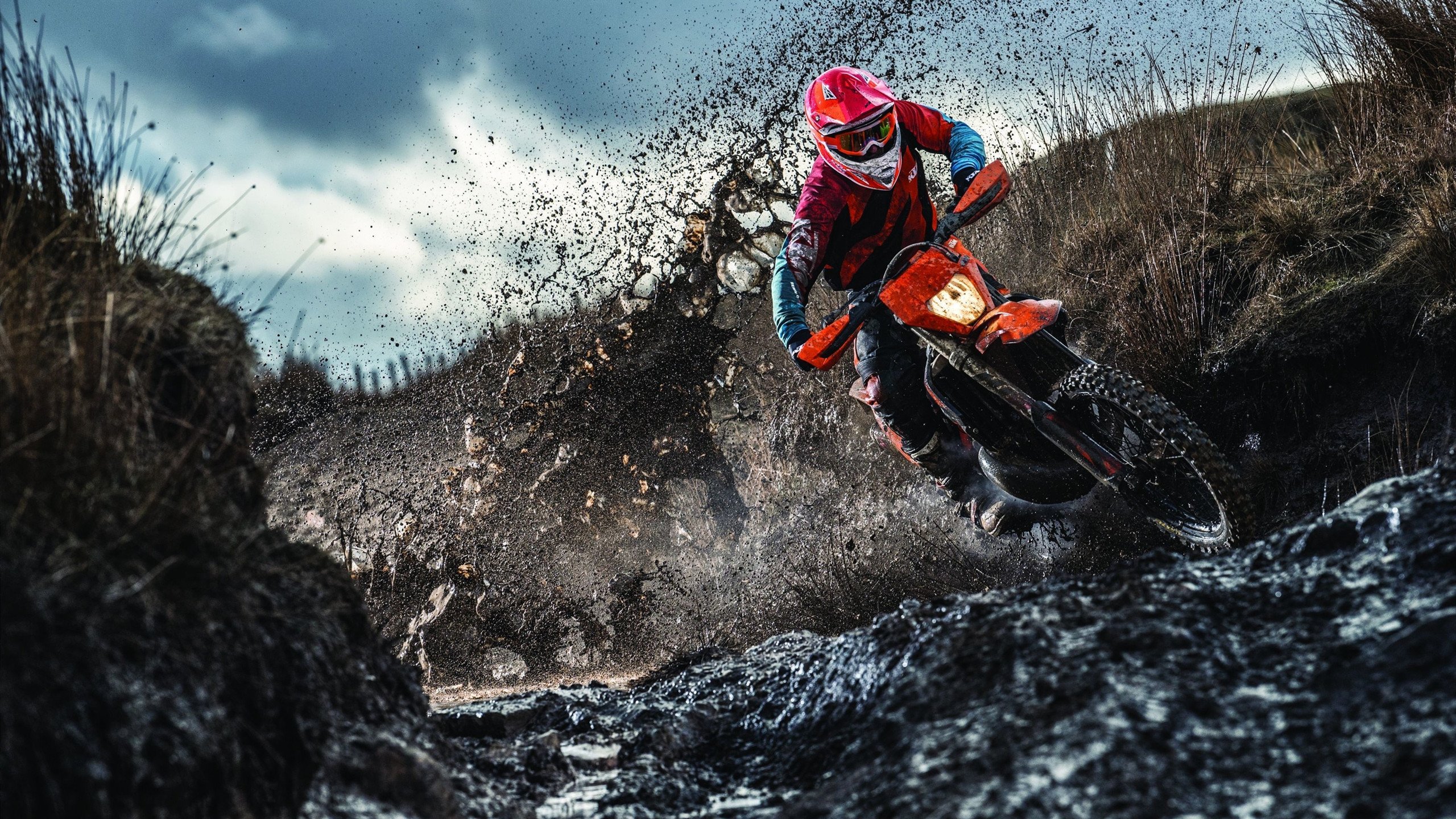 横扫风暴，青岛队戈贝尔状态火热，步行者防线溃不成军